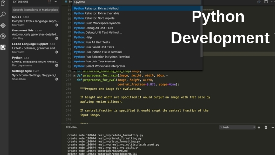 python-development